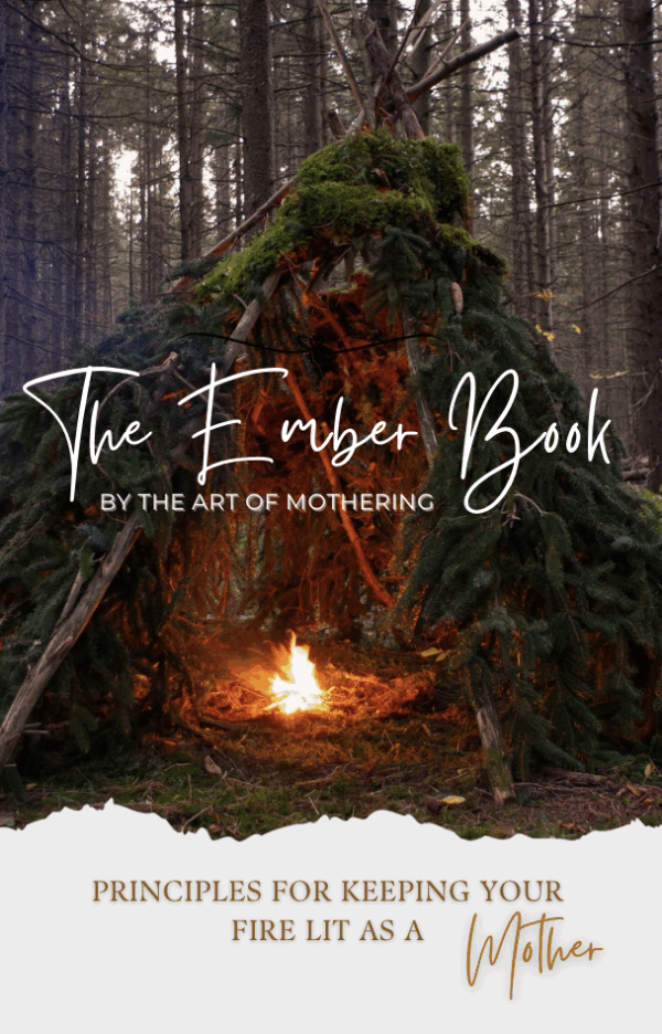 a fire sits inside a shelter contructed out of branches and pine bows
